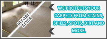 Carpet Cleaning Before and After