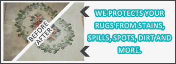 Carpet Cleaning Before and After